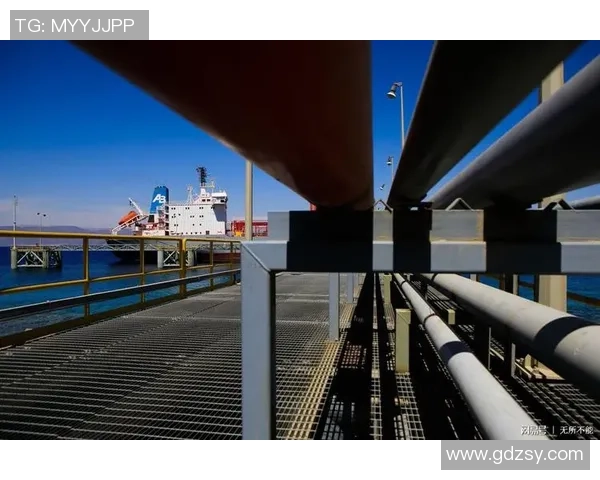 LNG在冠军杯中的团队协作分析与表现评估 LNG在冠军杯中的团队协作分析与表现评估