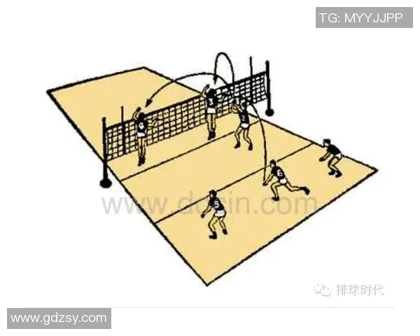 成都篮球队进攻战术解析与深度剖析助力球队崛起之路