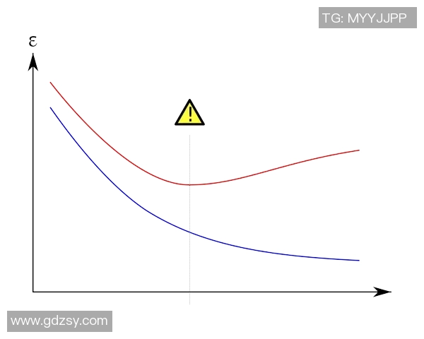 深入探讨FPX选手个人能力表现及其对团队战术的影响分析 深入探讨FPX选手个人能力表现及其对团队战术的影响分析